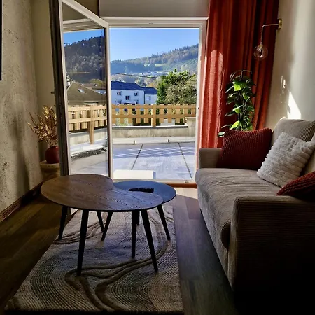 Apartman Le Duplex Du Parc - Terrasse Granges-sur-Vologne