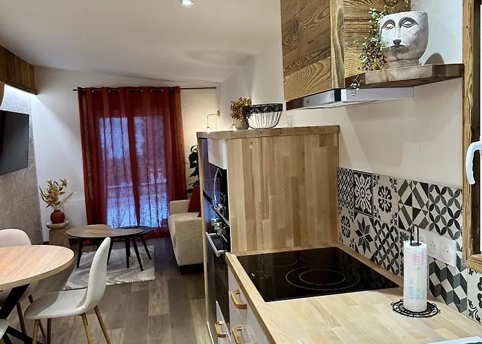 Le Duplex Du Parc - Terrasse Apartmán *