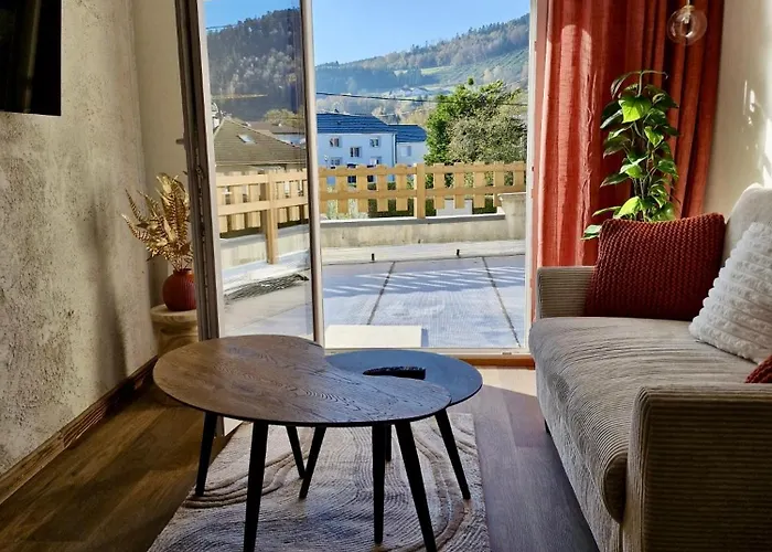 Le Duplex Du Parc - Terrasse Granges-sur-Vologne